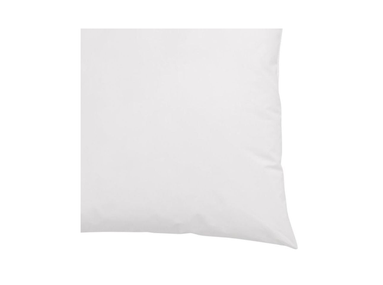 Dream Feather Pillow