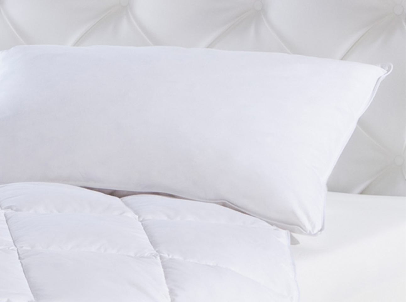 Dream Feather Pillow